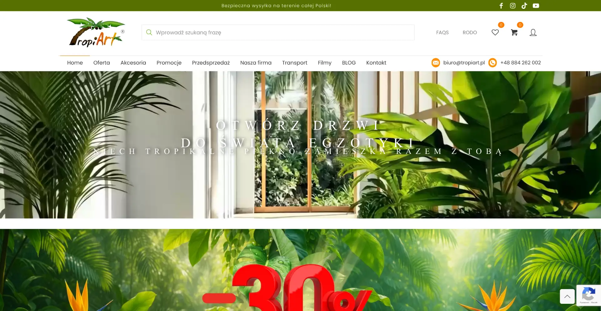 Screenshot of tropiart.pl
